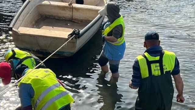 Un grupo de operarios, esta semana, retirando peces muertos en Santiago de la Ribera.