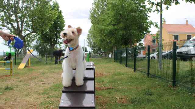 Parque para perros en Zamora