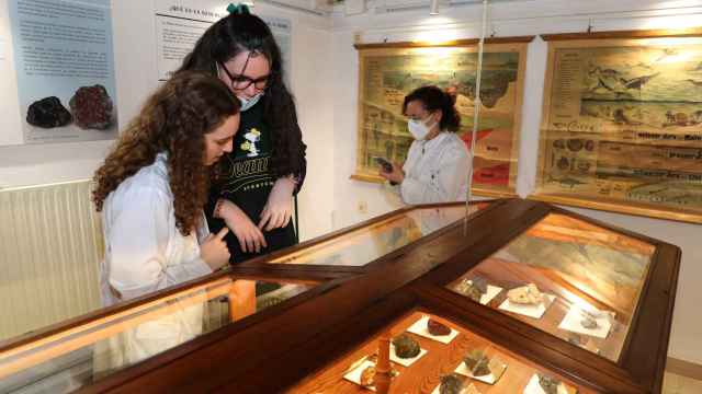 Museo de Ciencias Naturales del Instituto Jorge Manrique en Palencia