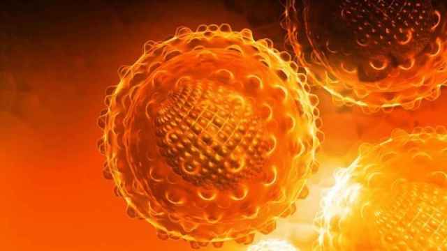 Recreación del virus de la Hepatitis C. Fotografía: Dicyt