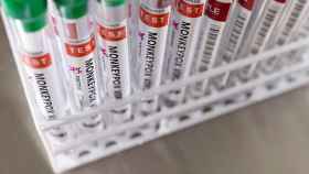 Viruela del mono: Europa pide revisar el stock de vacunas y aislar a mascotas de infectados