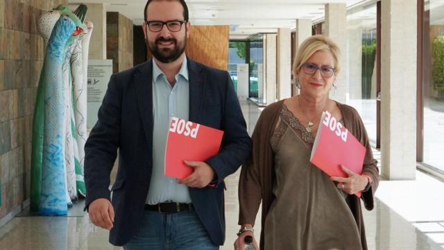 El secretario general del Grupo Socialista en las Cortes, Ángel Hernández, y la viceportavoz del Grupo Socialista en la Comisión de Familia, Isabel Gonzalo