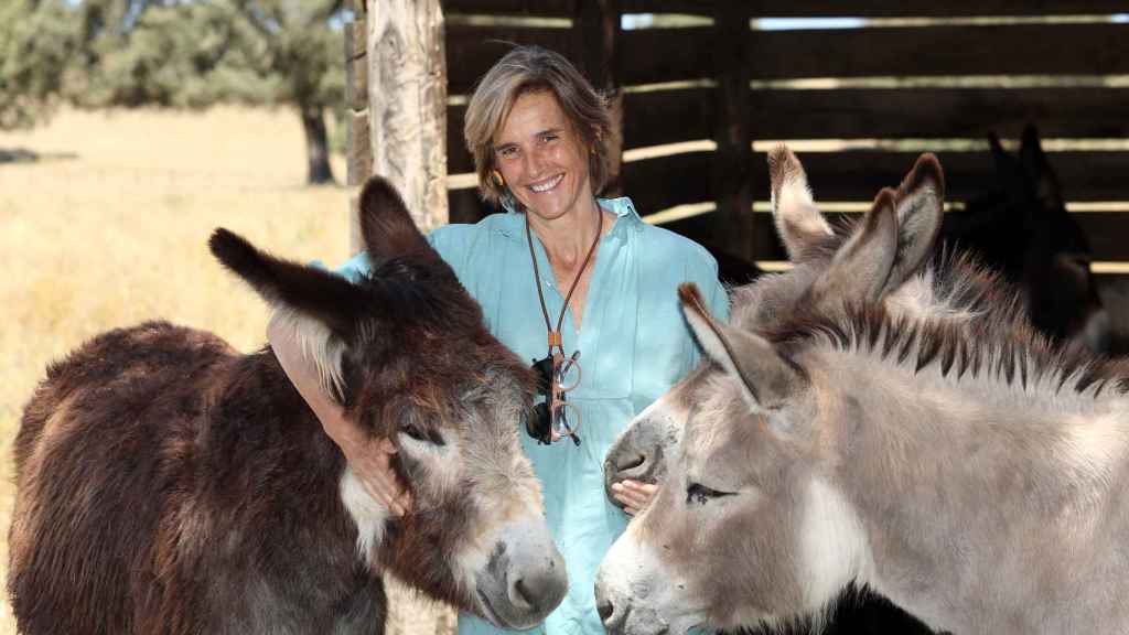 Blanca Entrecanales, propietaria de Dehesa El Milagro, acaricia a varios burros en su finca de Alcañizo (Toledo).