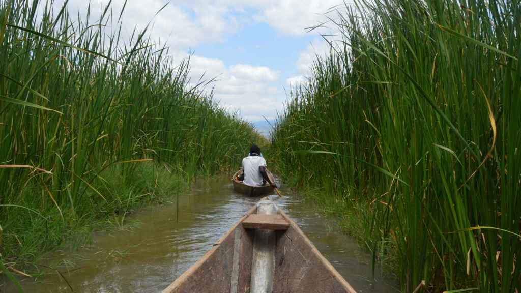 Vista de la proa de una canoa en un lago de Tanzania