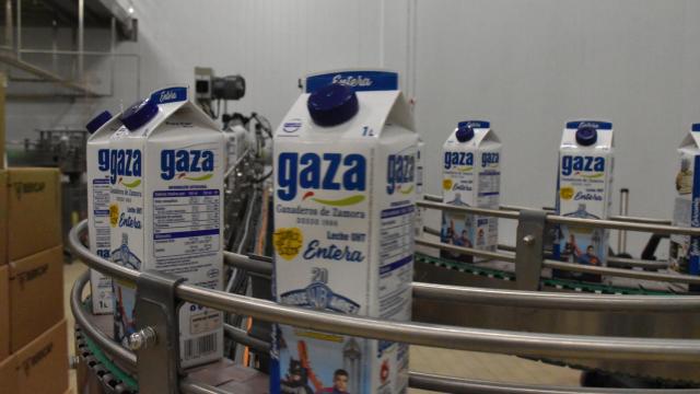 Fábrica de Leche Gaza en Coreses