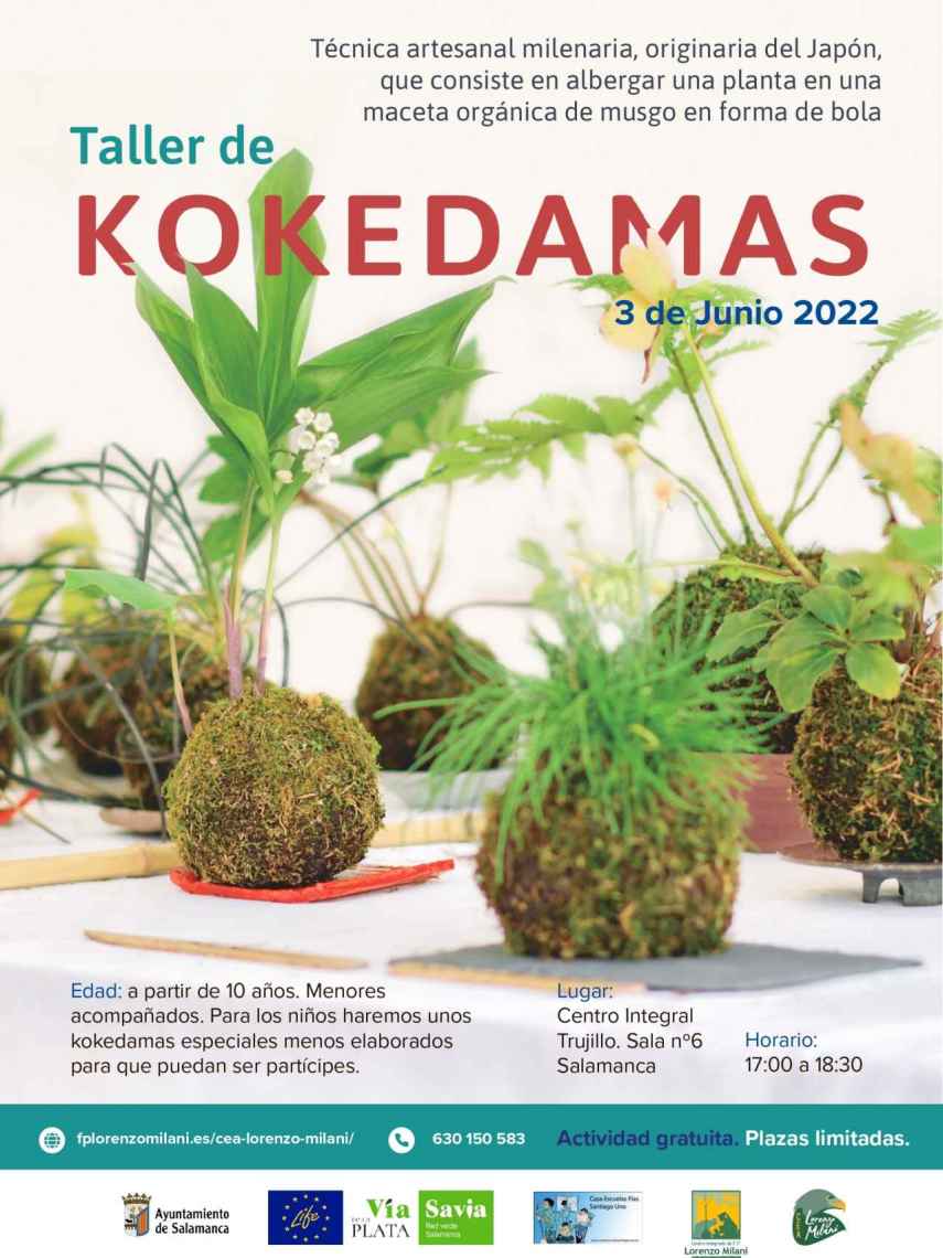 Cartel del taller de la técnica japonesa de Kokedamas que se celebrará en Salamanca.