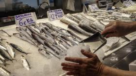 Puesto de pescado en el Mercado Central de Valencia.