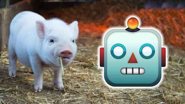 Un cerdo junto al emoji de un robot.