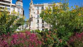 Alicante amplía su nueva arquitectura floral a los jardines de La Explanada, la avenida de Federico Soto y la Lonja