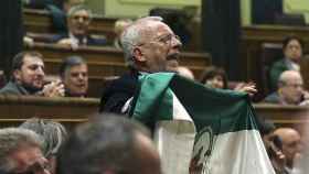 Manuel Pezzi con la bandera de Andalucía interrumpiendo a Rajoy en el Congreso en 2015.