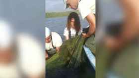 Unos pescadores, este fin de semana, sacando un 'manto' de algas cabello de ángel en el Mar Menor.