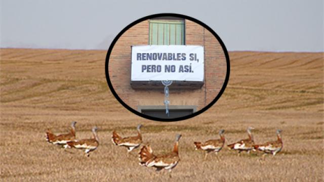 Collage con el cartel de protesta en Villamayor de Campos y avutardas en sus terrenos agrícolas