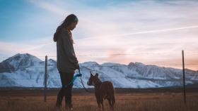 Por qué los perros siempre recuerdan a sus dueños