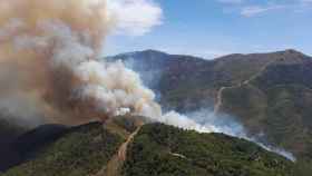 Incendio forestal declarado en Pujerra