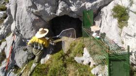 Los agentes medioambientales trabajan en la cueva donde se refugia la osa despeñada en la Montaña Palentina