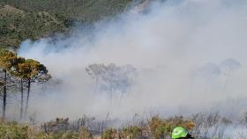 Una imagen del incendio de Pujerra.