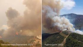 Montaje con ambos incendios.