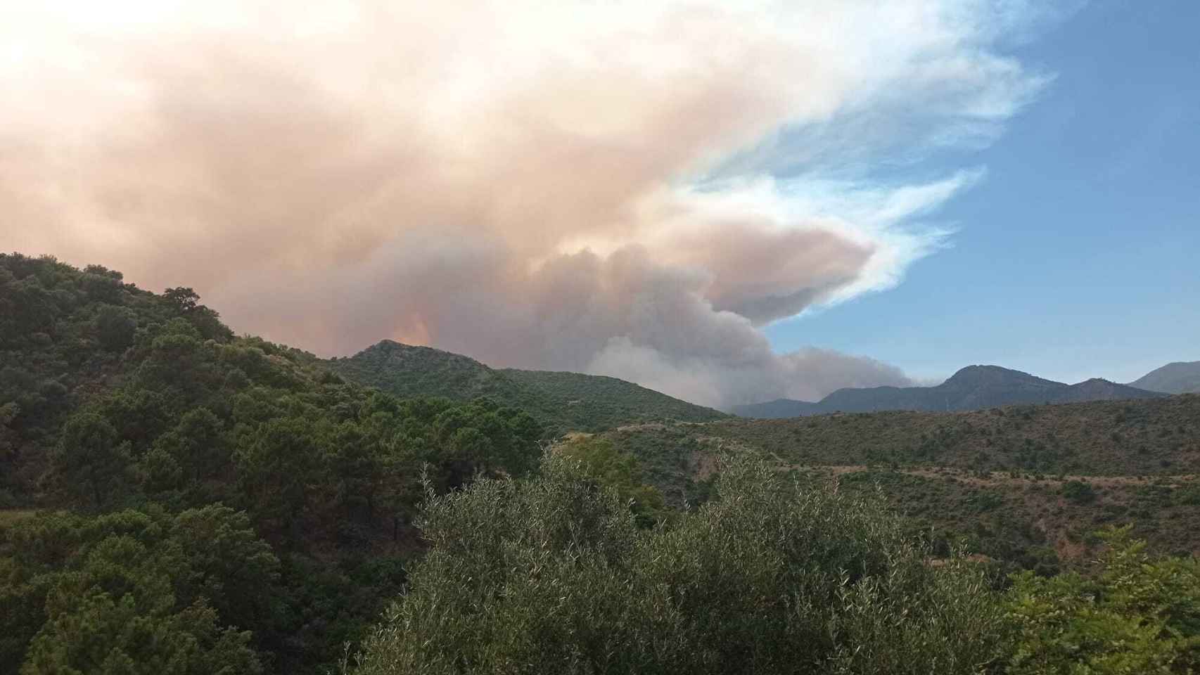 Así se ve el incendio de Pujerra (Málaga) desde un Benahavís desalojado