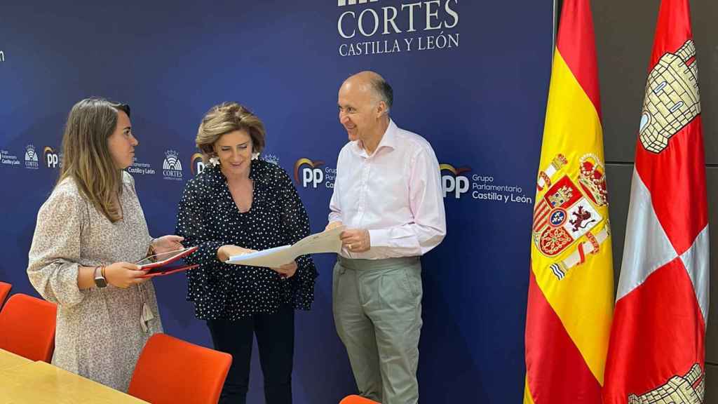 Los procuradores del PP por Valladolid en las Cortes