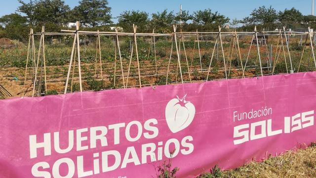 Los huertos de la Fundación Soliss amplían su variedad de productos con la temporada primaveral