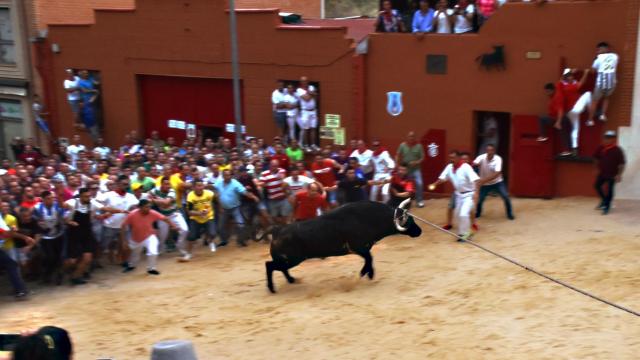 Toro Enmaromado 2022 en Benavente. Imagen de archivo