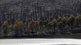 Los incendios declarados durante la noche del martes en la sierra de Leire, Tafalla y Olleta-Leoz, se mantienen activos aunque en fase de estabilización
