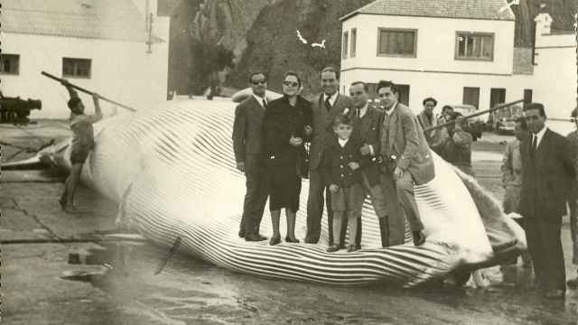 Un rorcual común en la ballenera de Algeciras, en los primeros años 50. El alcalde, Ángel Silva Cernuda, posa en el centro sobre la ballena. Su sobrino Fernando Silva compartió la foto.