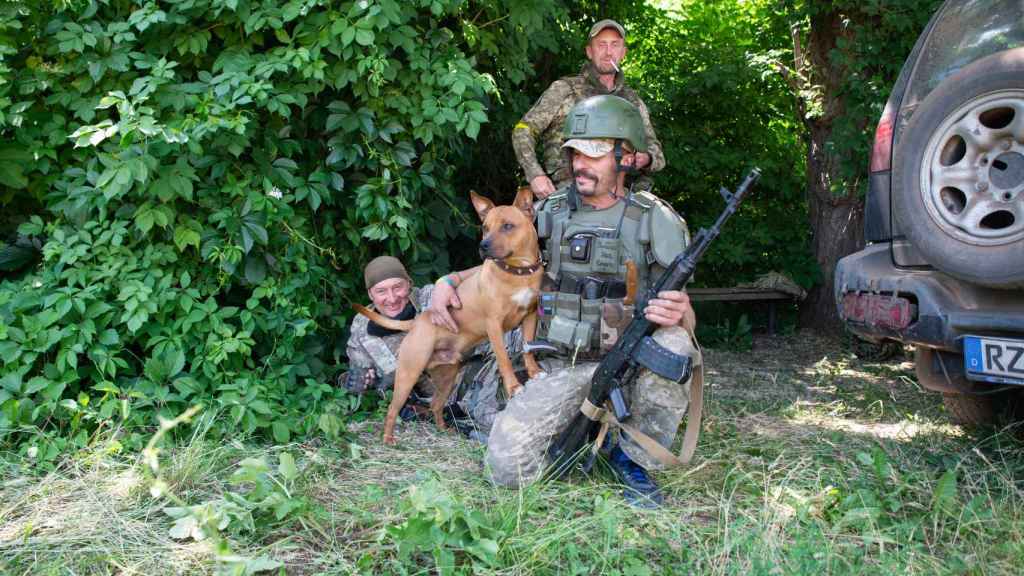 Soldados fotografiados con un perro en el Donbás.