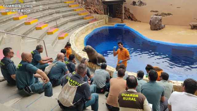 Mundomar imparte un curso de formación en el rescate de animales.