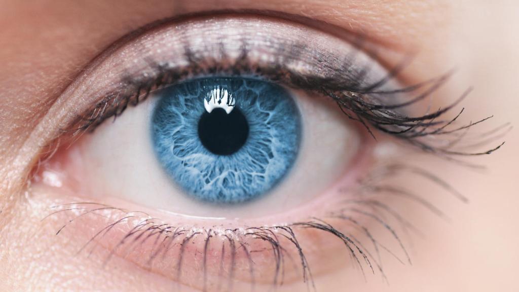 Ojo humano.