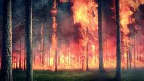 Lucha contra los grandes incendios forestales