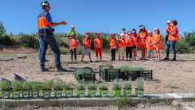 Los escolares de Barruecopardo plantan árboles en la mina de Saloro