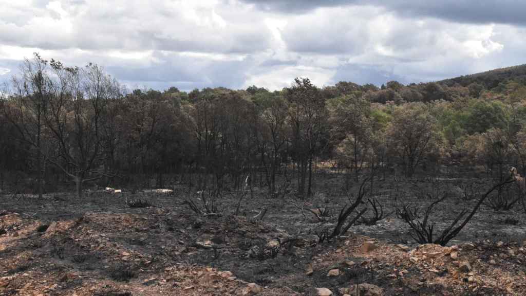 Estado del incendio en la Sierra de la Culebra, a la altura de Otero de Bodas