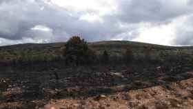 Días después del incendio en la Sierra de la Culebra