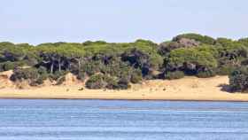 ¿Cuál es la playa más grande de España?