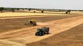 Maquinaria agrícola trabaja en la cosecha del cereal