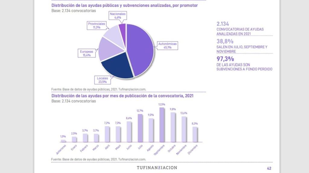 Distribución de las ayudas por tipo de promotor.