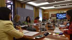 Reunión virtual del Consejo Interterritorial del Sistema Nacional de Sanidad del pasado verano.