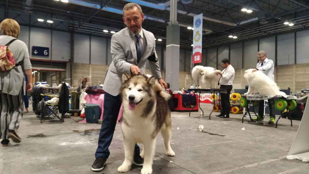 Josema Conde, a dog breeder, and Wins, an Alaskan Malamute dog.