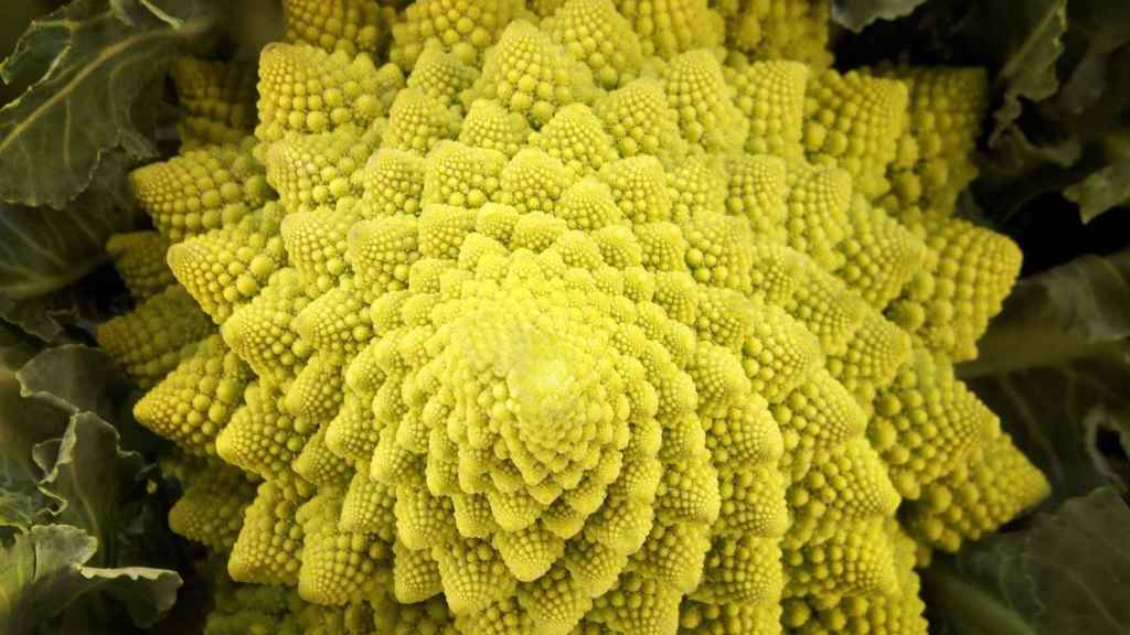 Los fractales que nos comemos sin saberlo: un 'código' oculto en la  coliflor y el brócoli