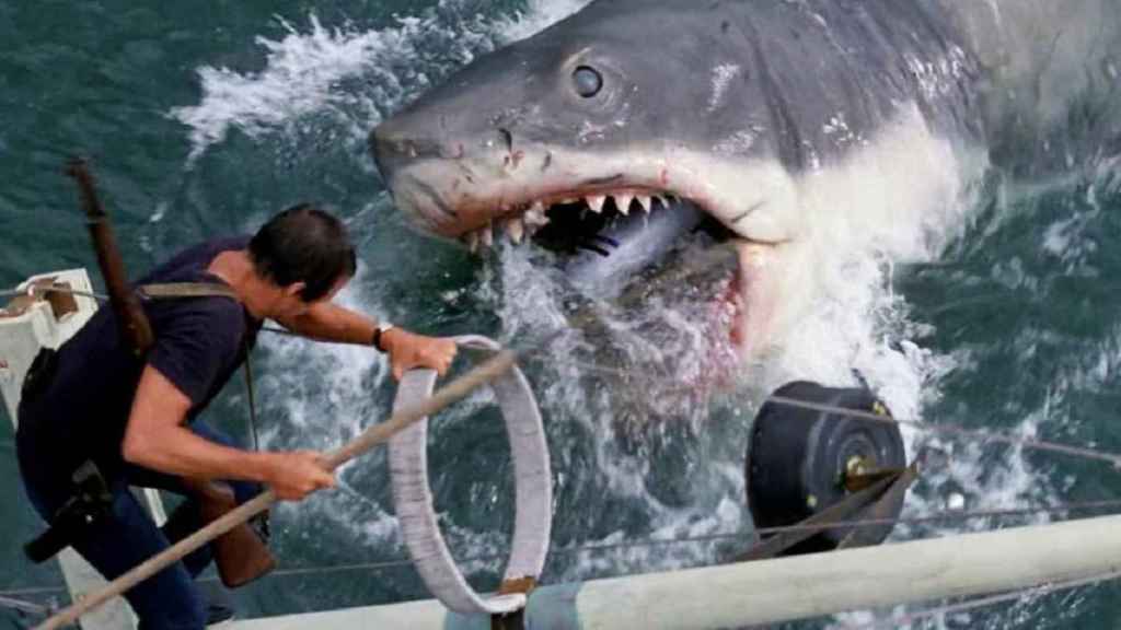 Frame from the movie 'Jaws'.