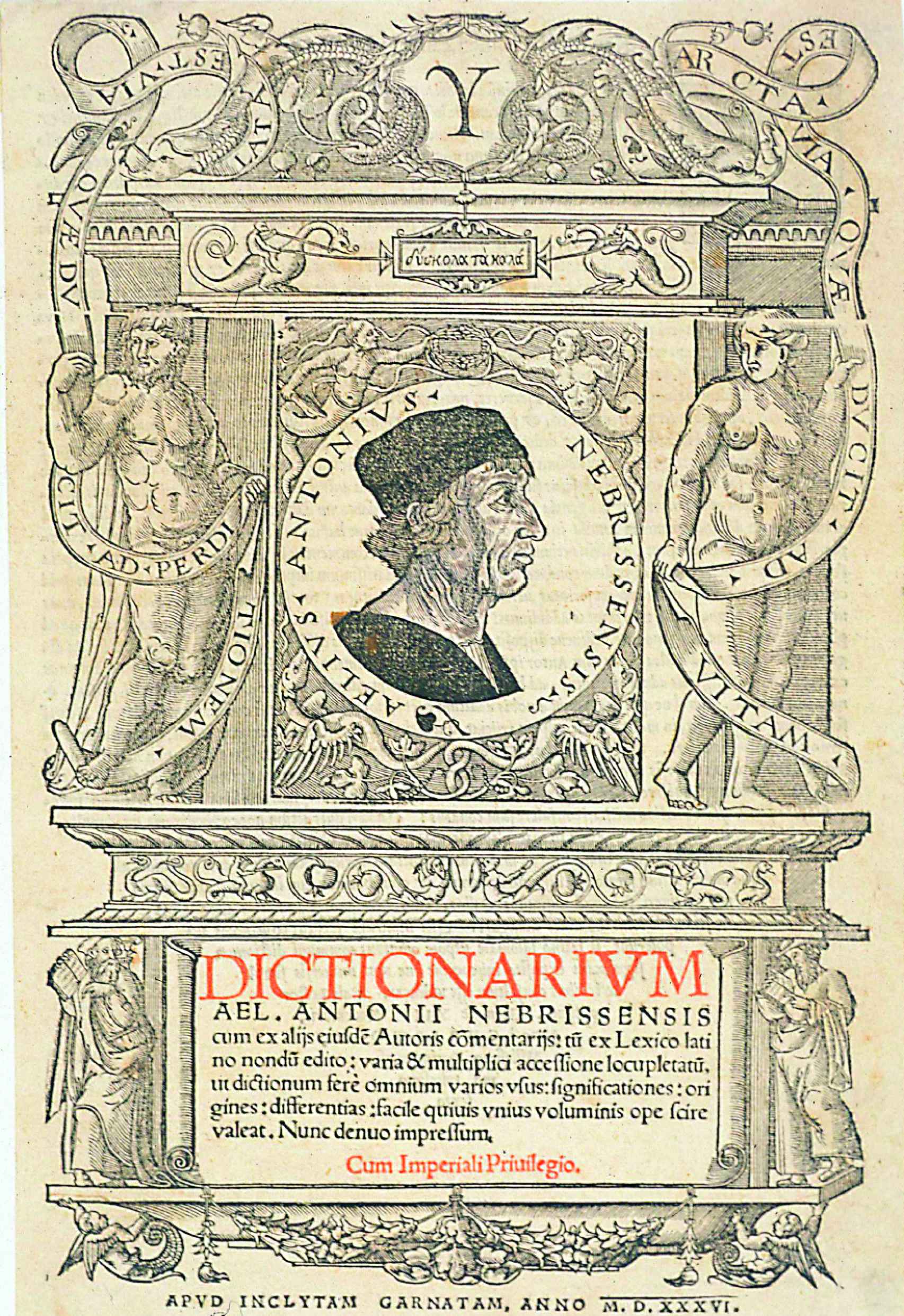 'Dictionarivm', edición de 1536