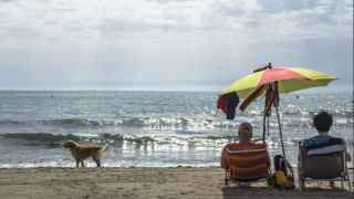 La playa de Agua Amarga en Alicante busca quién gestione los servicios de la 'Doggy Beach' hasta 2025