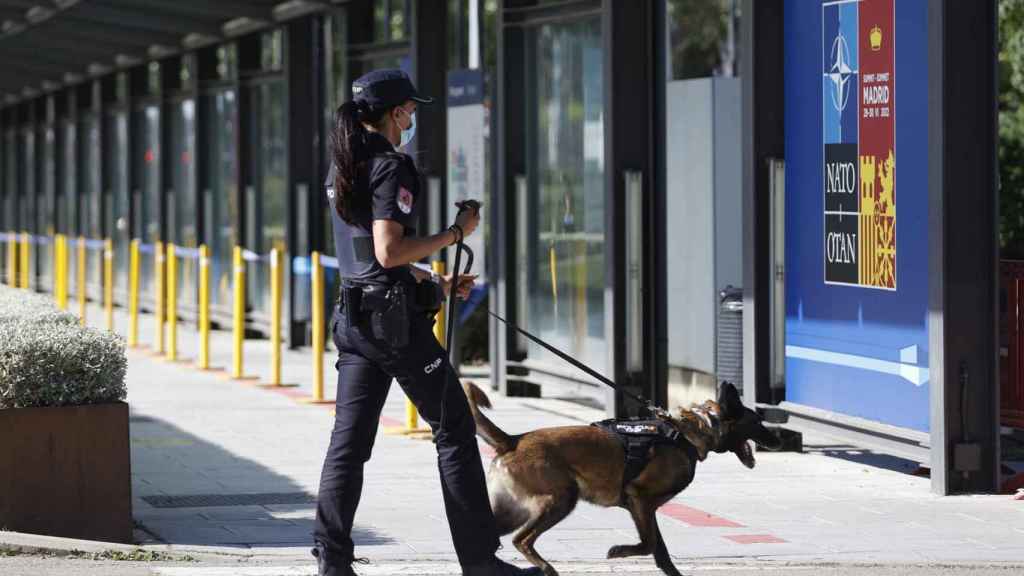 Una agente de la Policía Nacional, en IFEMA, junto a un perro.