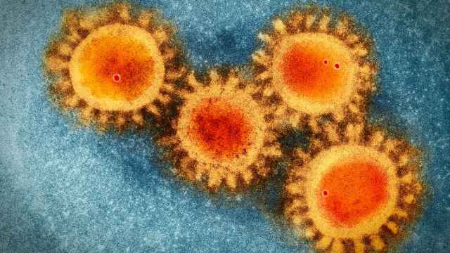Virus de la covid-19.