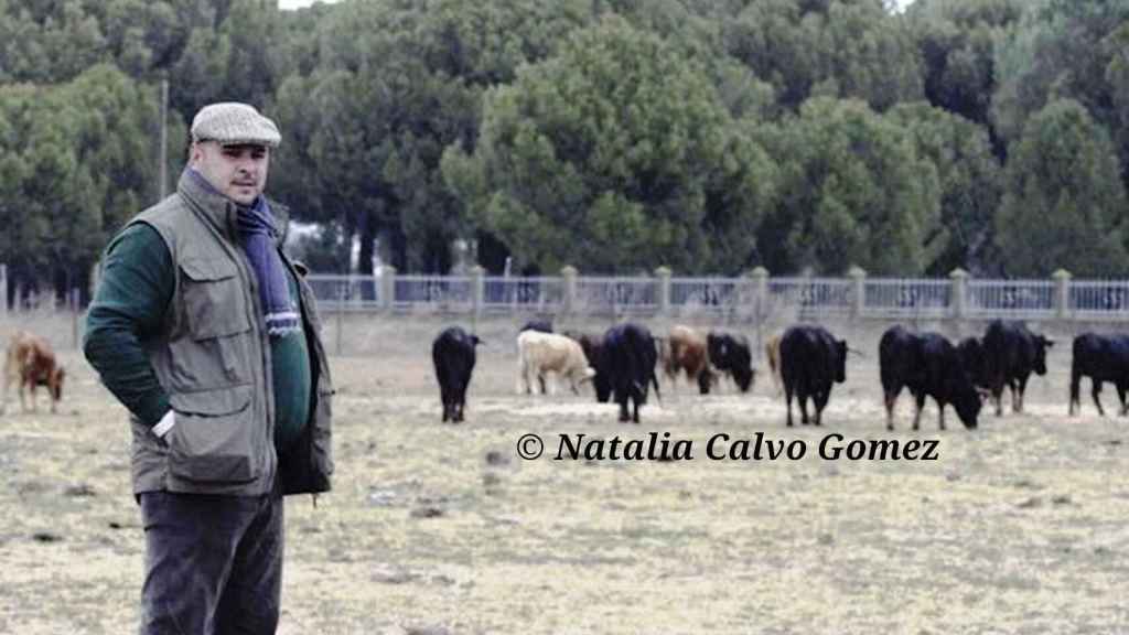 La ganadería vallisoletana Toros de Brazuelas