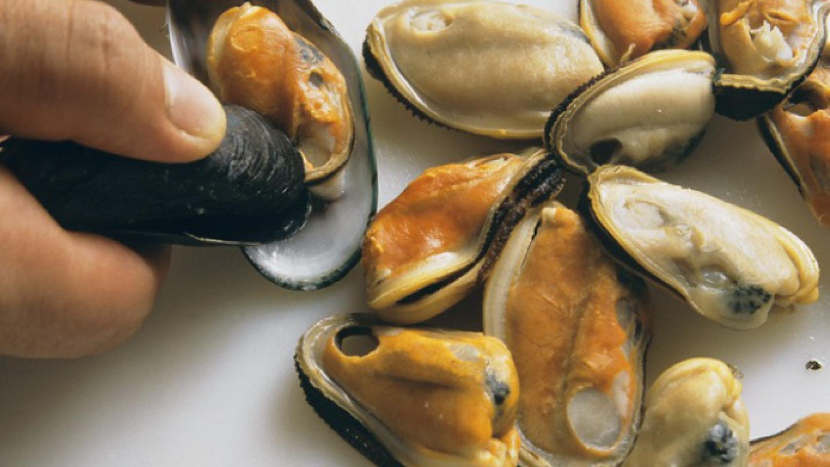 Mejillones peligrosos