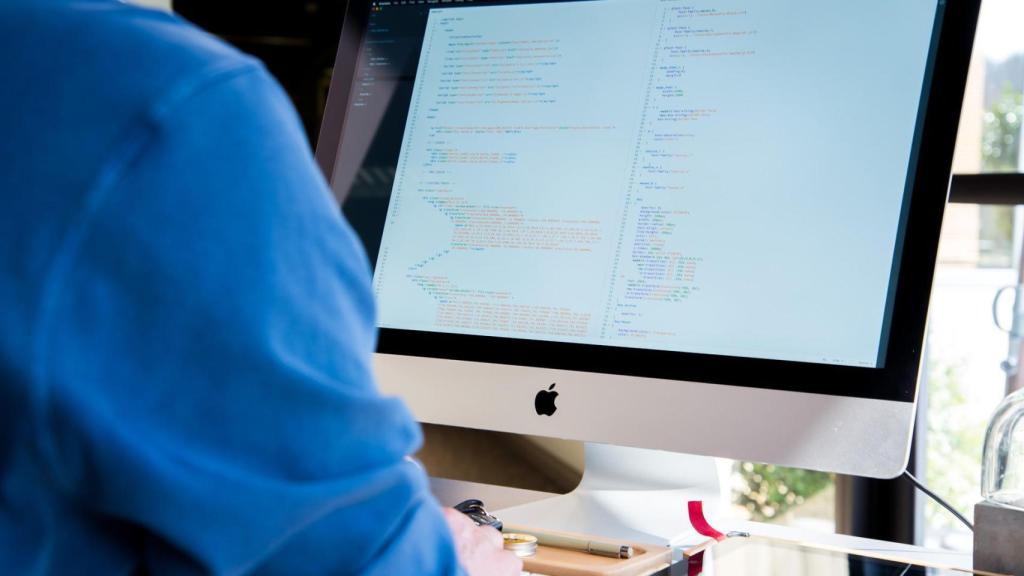 Un programador durante el desarrollo de su actividad profesional.