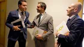 El portavoz del PP, Raúl de la Hoz, saluda a los procuradores de Vox David Hierro y Carlos Menéndez el pasado 28 de abril.