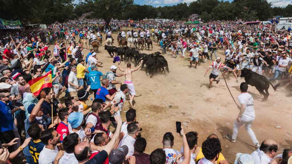 Celebración de la fiesta de La Saca en Soria